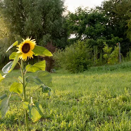 La Perhotte Ferienhaus Solgne