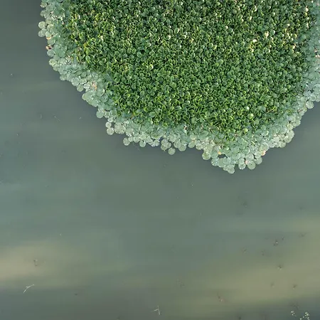 La Perhotte Ferienhaus *