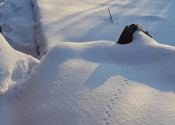 Dom wakacyjny La Perhotte