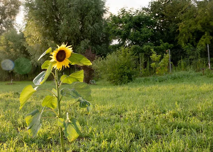 La Perhotte Dom wakacyjny Solgne