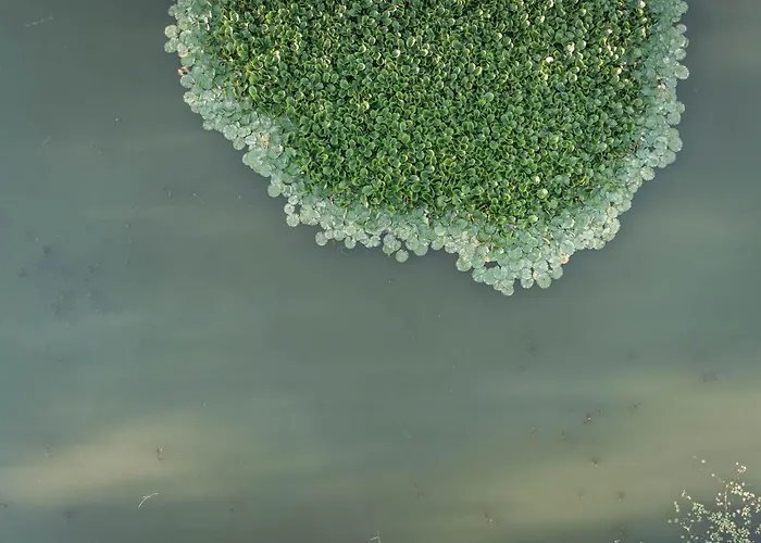 La Perhotte Dom wakacyjny *